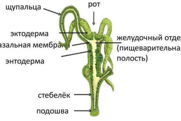 Кракен купить наркоту